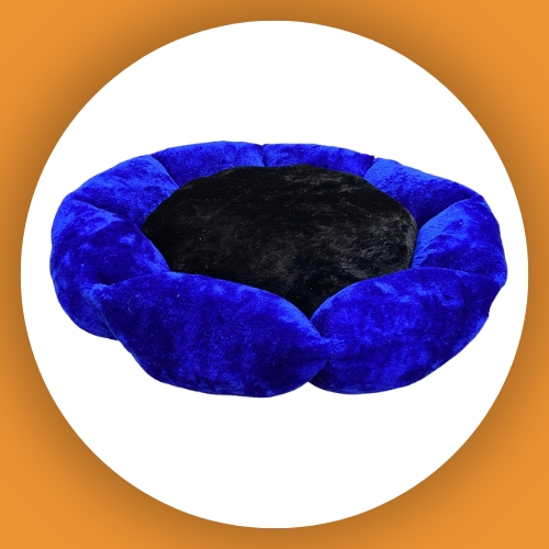 Bedding and Blanket">