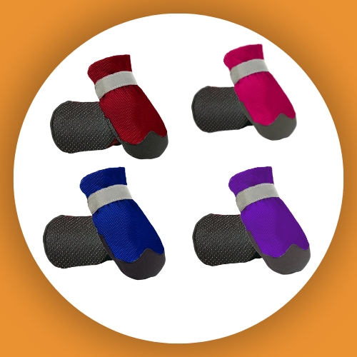 Shoes & Socks">
