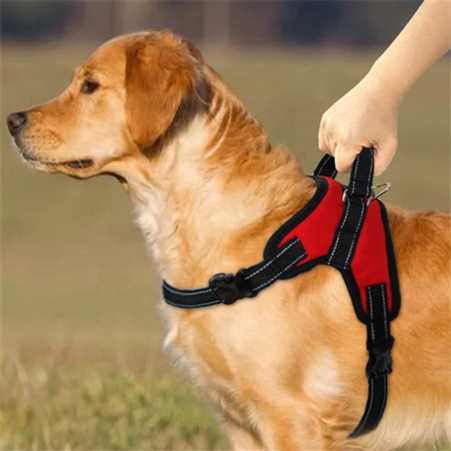 dog body belt harness red color