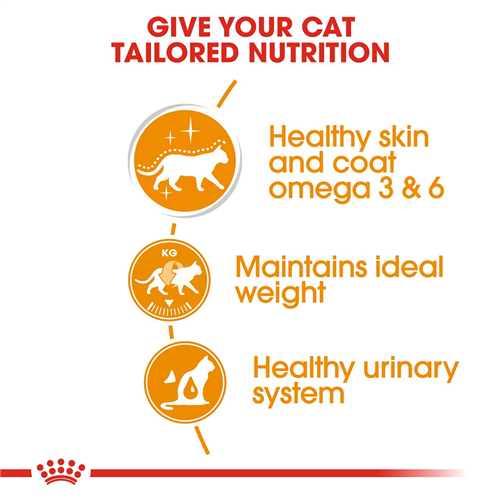 Royal Canin Intense Beauty Wet Cat Food