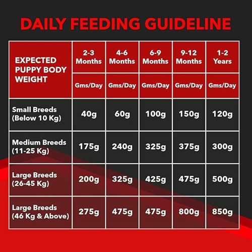Drools Focus Puppy Super Premium Dry Puppy Food