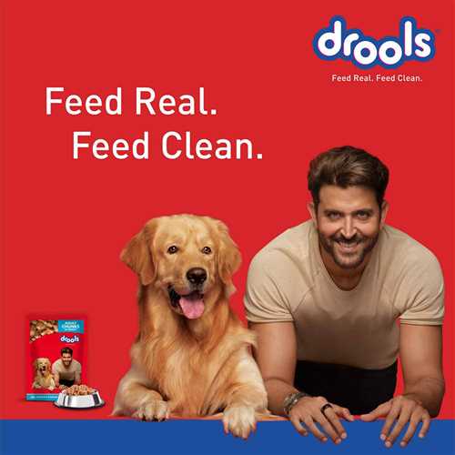 Drools Real Chicken and Liver Puppy Wet Dog Food