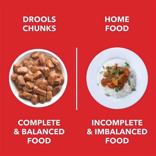 Drools Real Chicken and Liver Puppy Wet Dog Food