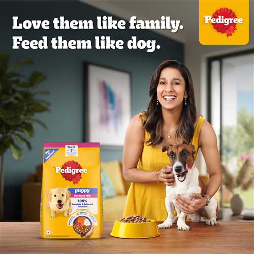 Pedigree Chicken and Milk Puppy Dry Dog Food
