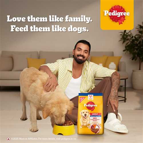 Pedigree Chicken and Vegetables Adult Dry Dog Food