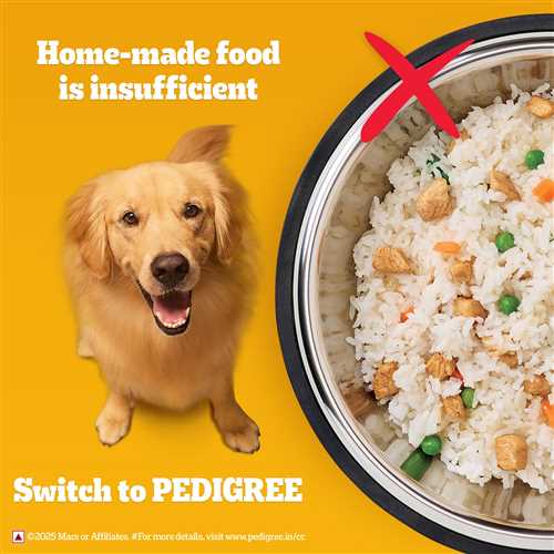 Pedigree Chicken and Vegetables Adult Dry Dog Food