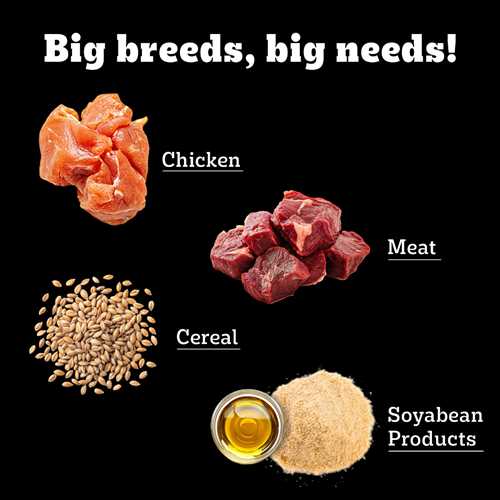 Pedigree PRO Expert Nutrition Active Adult Large Breed Dry Dog Food