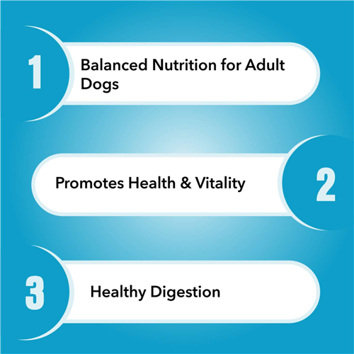 Purepet Chicken and Vegetable Adult Dry Dog Food