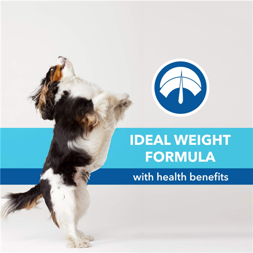 Purepet Chicken and Vegetable Puppy Dry Dog Food