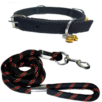 Dog Collar & Leash">