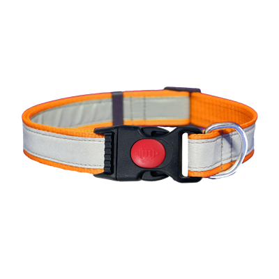 Dog Collar">